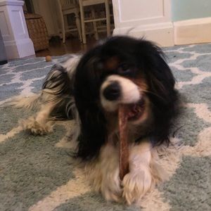 Meet your Posher, Robyn